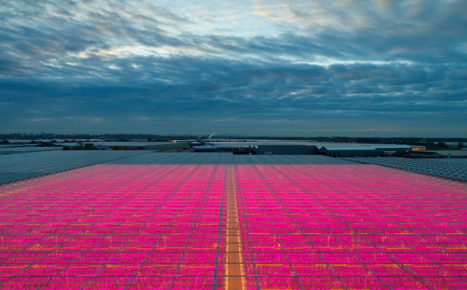 Greenhouses With Innovative LED Lighting At Dusk With Clouds Netherlands 