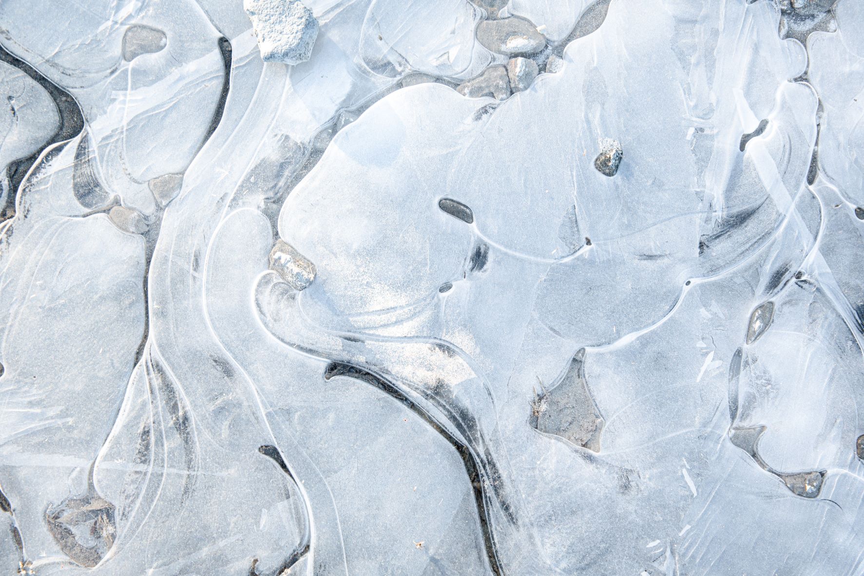 Ice_Covered_Ground_Closeup